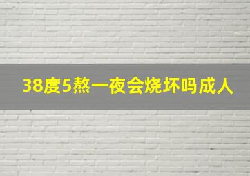 38度5熬一夜会烧坏吗成人