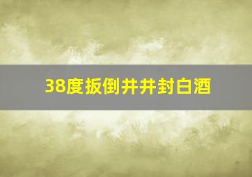 38度扳倒井井封白酒