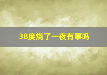 38度烧了一夜有事吗