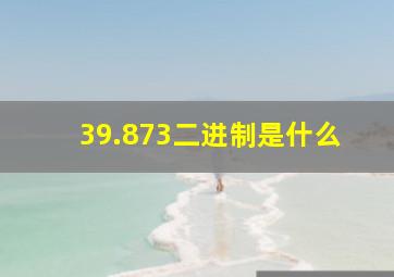 39.873二进制是什么