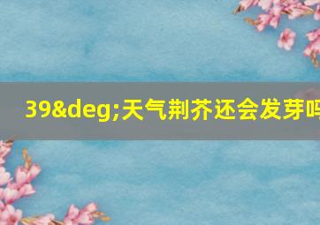 39°天气荆芥还会发芽吗