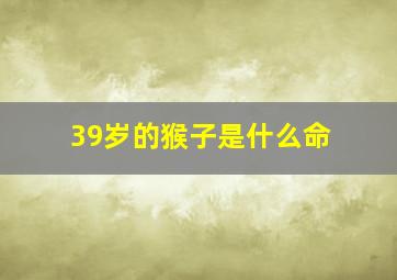 39岁的猴子是什么命