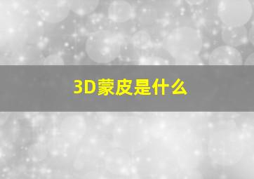 3D蒙皮是什么