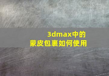 3dmax中的蒙皮包裹如何使用