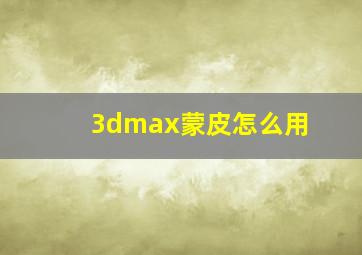 3dmax蒙皮怎么用