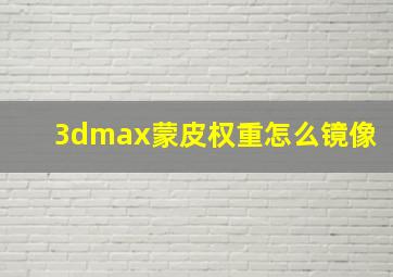 3dmax蒙皮权重怎么镜像