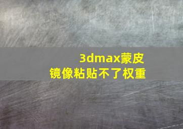 3dmax蒙皮镜像粘贴不了权重