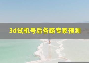 3d试机号后各路专家预测