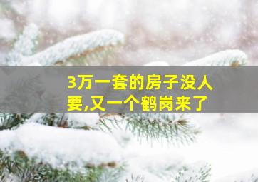 3万一套的房子没人要,又一个鹤岗来了