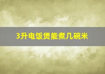 3升电饭煲能煮几碗米