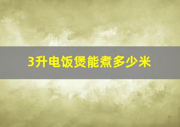 3升电饭煲能煮多少米