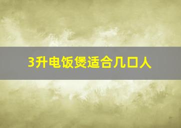 3升电饭煲适合几口人