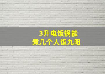 3升电饭锅能煮几个人饭九阳