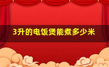 3升的电饭煲能煮多少米