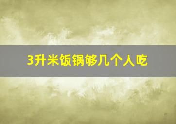 3升米饭锅够几个人吃