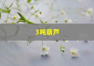 3吨葫芦