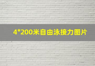 4*200米自由泳接力图片