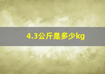 4.3公斤是多少kg