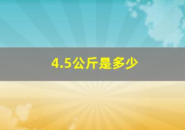 4.5公斤是多少