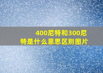 400尼特和300尼特是什么意思区别图片