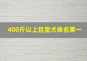 400斤以上巨型犬排名第一