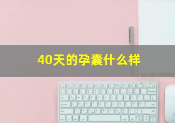 40天的孕囊什么样