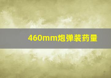 460mm炮弹装药量