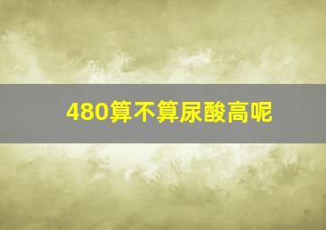 480算不算尿酸高呢