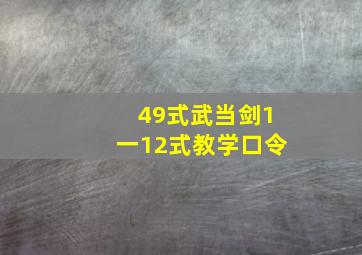 49式武当剑1一12式教学口令