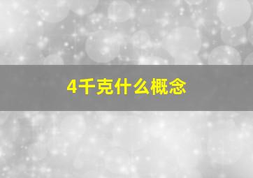 4千克什么概念