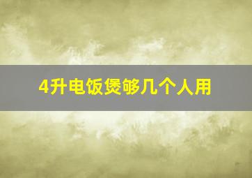 4升电饭煲够几个人用