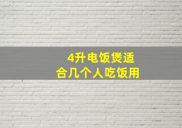 4升电饭煲适合几个人吃饭用