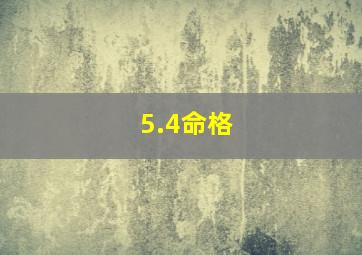 5.4命格