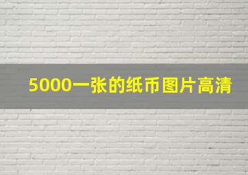 5000一张的纸币图片高清