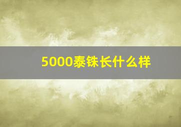 5000泰铢长什么样