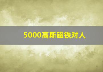 5000高斯磁铁对人