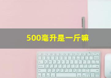 500毫升是一斤嘛