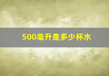 500毫升是多少杯水