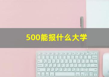 500能报什么大学