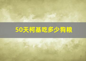 50天柯基吃多少狗粮