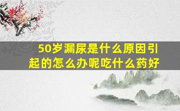 50岁漏尿是什么原因引起的怎么办呢吃什么药好