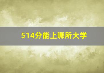 514分能上哪所大学