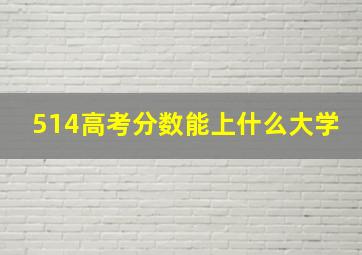 514高考分数能上什么大学