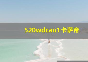 520wdcau1卡萨帝