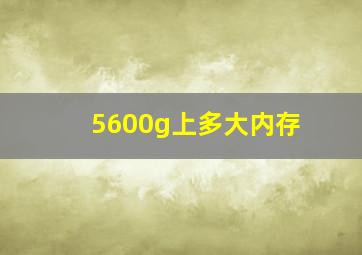 5600g上多大内存