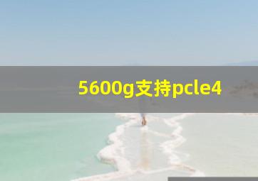 5600g支持pcle4