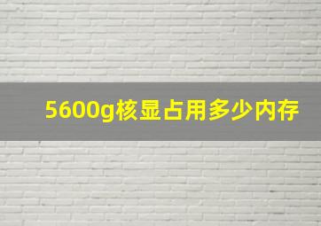 5600g核显占用多少内存