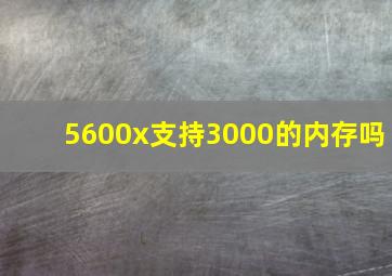 5600x支持3000的内存吗