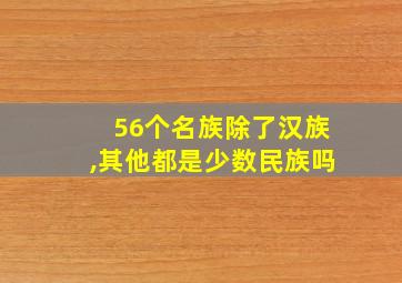 56个名族除了汉族,其他都是少数民族吗