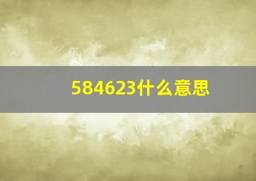 584623什么意思